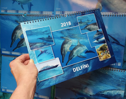 00_delfini_kalendar_18_sm