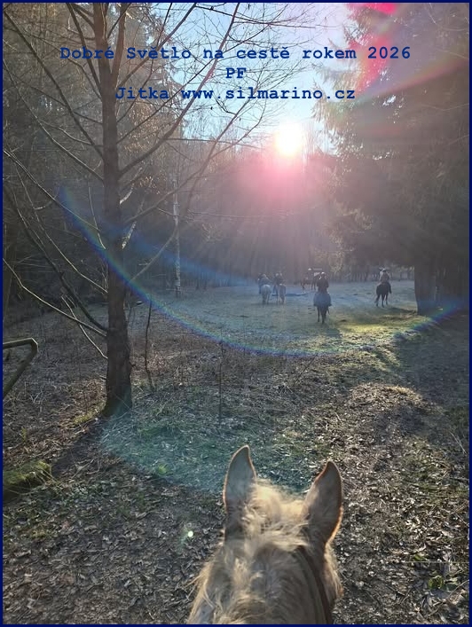 PF_2026_Jitka_SILMARINO_