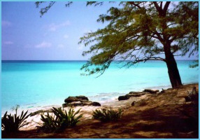 w_Bimini Beach_1