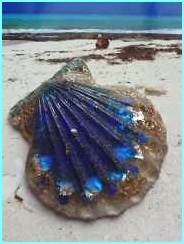 wm_1156_orgonit_karibik_lazurit