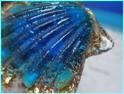 wm_1778_orgonit_detail_karib