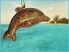 wm_delfinek_akvamarin_Karibik2