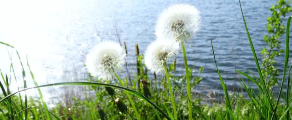 m mask_Acces_Bars_5790