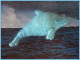 Orgonfin_Tyrkysovy_zadan