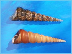 vretenovka_model_a_odlitek