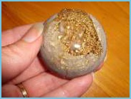 glazovani_polokoulicky