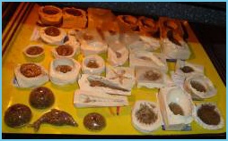 w_orgonity_vyroba_ve_formach