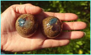 wm_polokoulicky_zakazka