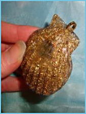 musle_hrebenatka_osobni_s_ockem_na zaveseni