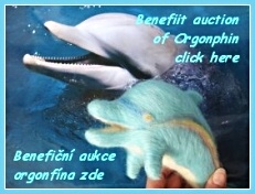 Debby_9_banner_small